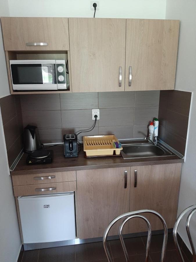 Kacso Apartma Ocna de Sus 외부 사진