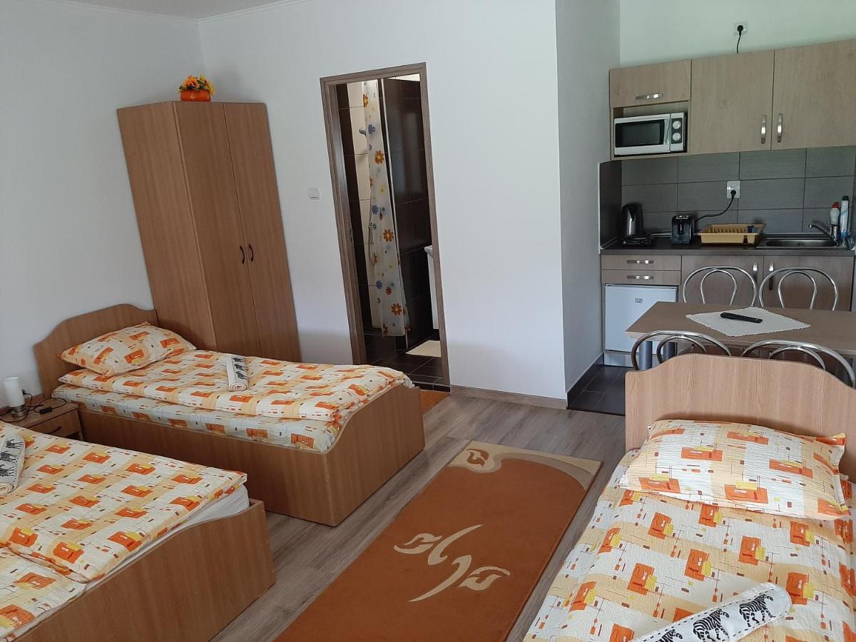 Kacso Apartma Ocna de Sus 외부 사진